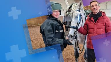 Polizeipferde - Einsatz auf vier Hufen