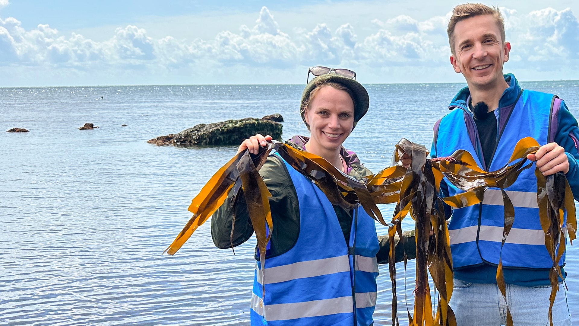 Meeresbiologin Dr. Julia Schnetzer und "PUR+" Moderator Eric Mayer stehen im Felswatt vor der Insel Helgoland und halten Braunalgen in den Händen.