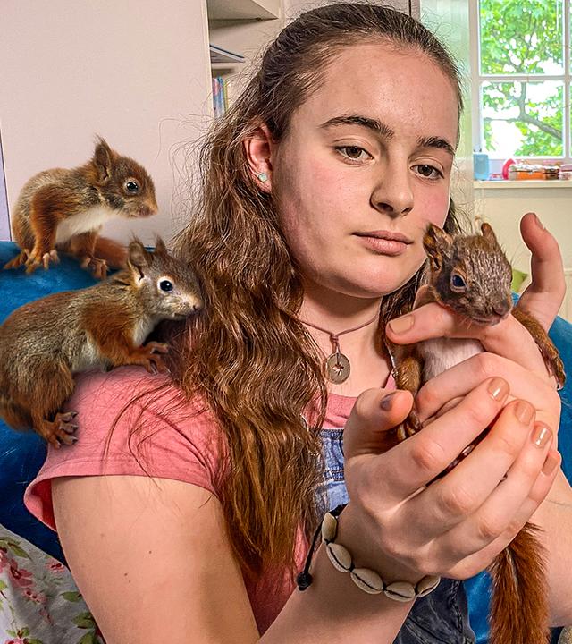 Luzie vom Eichhörnchen-Notruf sitzt auf einem Sofa mit Kissen im Rücken. In den Händen hält sie ein Eichhörnchen-Baby. Auf ihrer Schulter und auf den Kissen direkt hinter ihr sitzen insgesamt drei weitere Eichhörnchen-Babys. 
