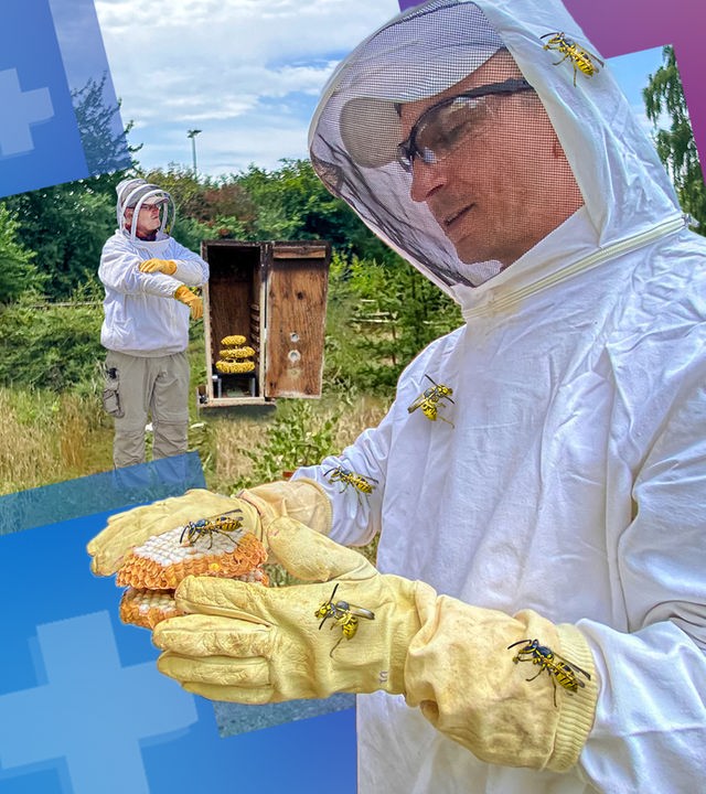Eric Mayer ist vorne rechts im Bild zu sehen und trägt Insektenschutzkleidung. In seinen Händen hält er Waben eines Hornissenests. Auf seinem Schutzanzug und seinen Handschuhen sind große Wespen gesetzt worden.