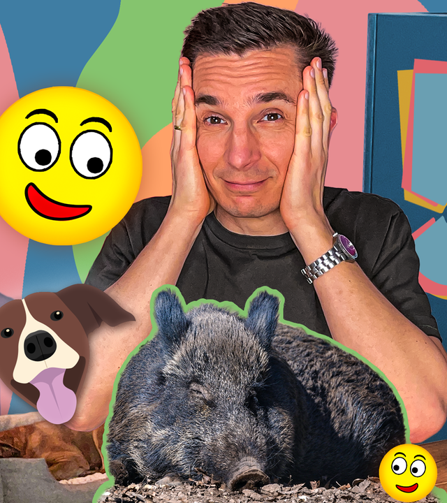 PUR+ - Erics Top 5 - Tiere  