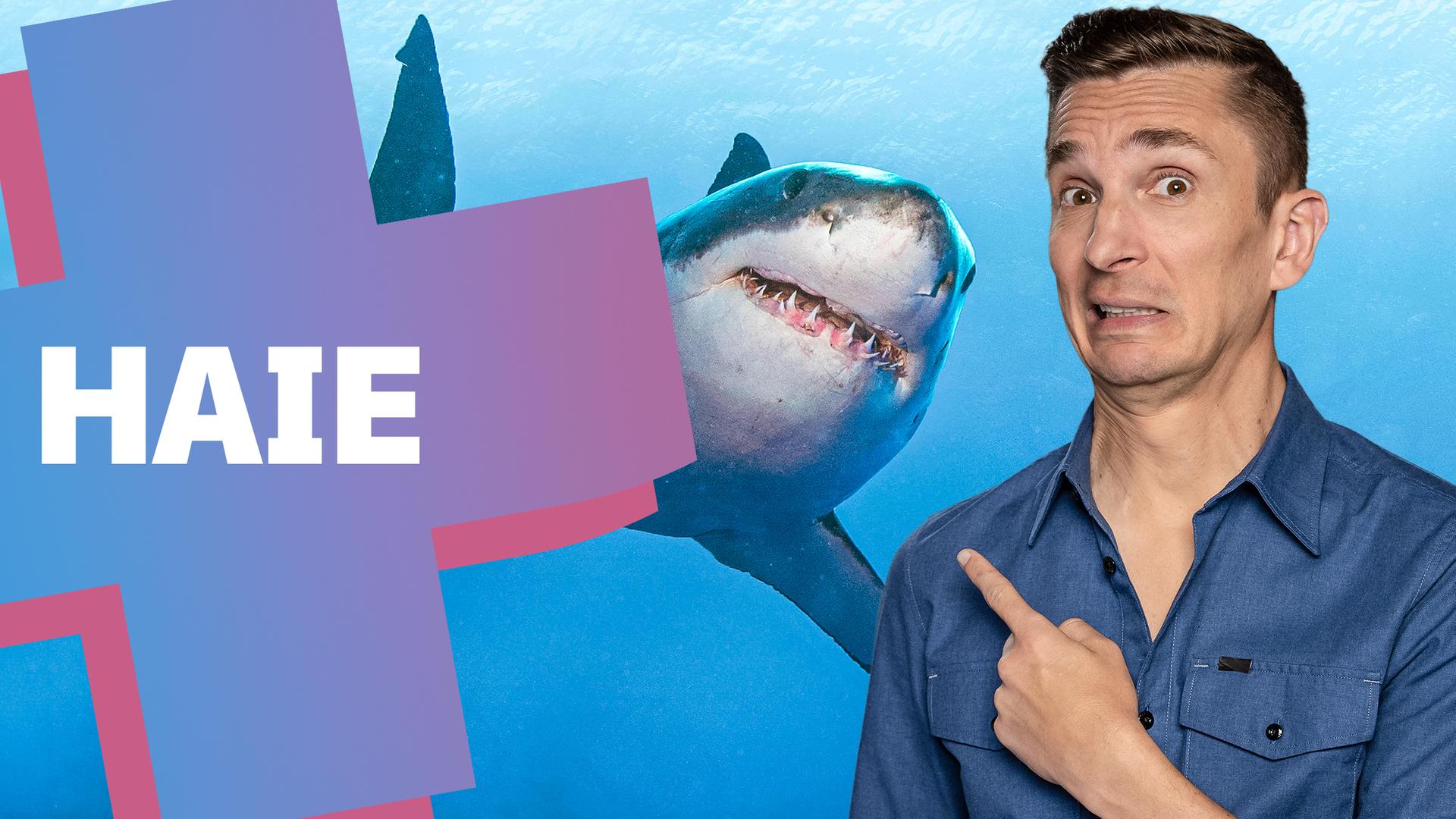 Eric schaut mit erschrockendem Blick und zeigt nach hinten, hinter ihm  ist ein Hai mit scharfen Zähnen zu sehen.