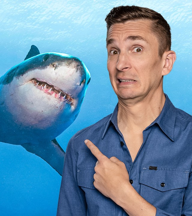 Eric schaut mit erschrockendem Blick und zeigt nach hinten, hinter ihm  ist ein Hai mit scharfen Zähnen zu sehen.
