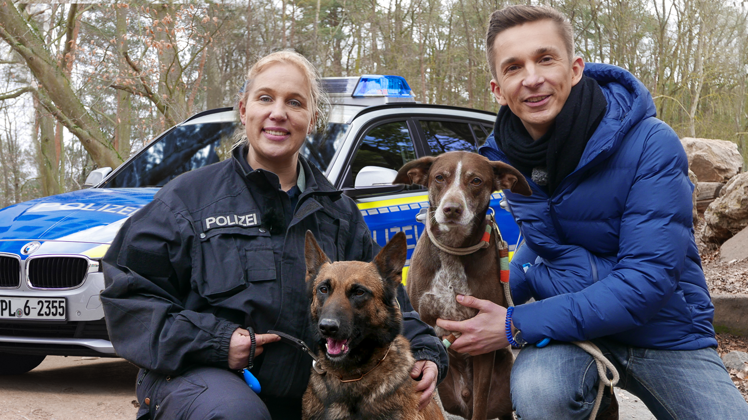 Die Superdogs: Polizeihunde im Einsatz