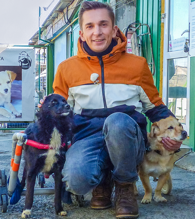 PUR+ - Straßenhunde