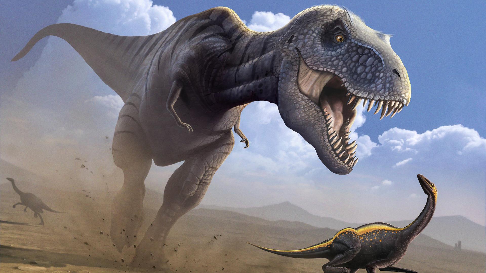 Zeichnung eines Tyrannosaurus Rex