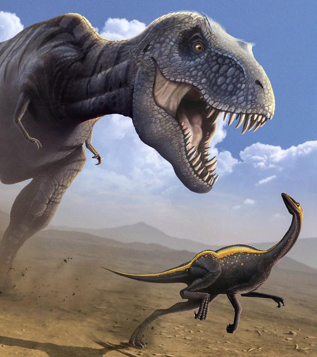 Zeichnung eines Tyrannosaurus Rex