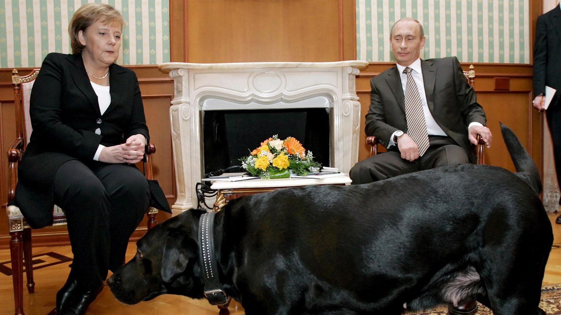 Putins schwarzer Labrador läuft beim Treffen Putins mit Ex-Bundeskanzlerin Merkel 2007 durchs Zimmer; Sotschi, Russland; 21.01.2007