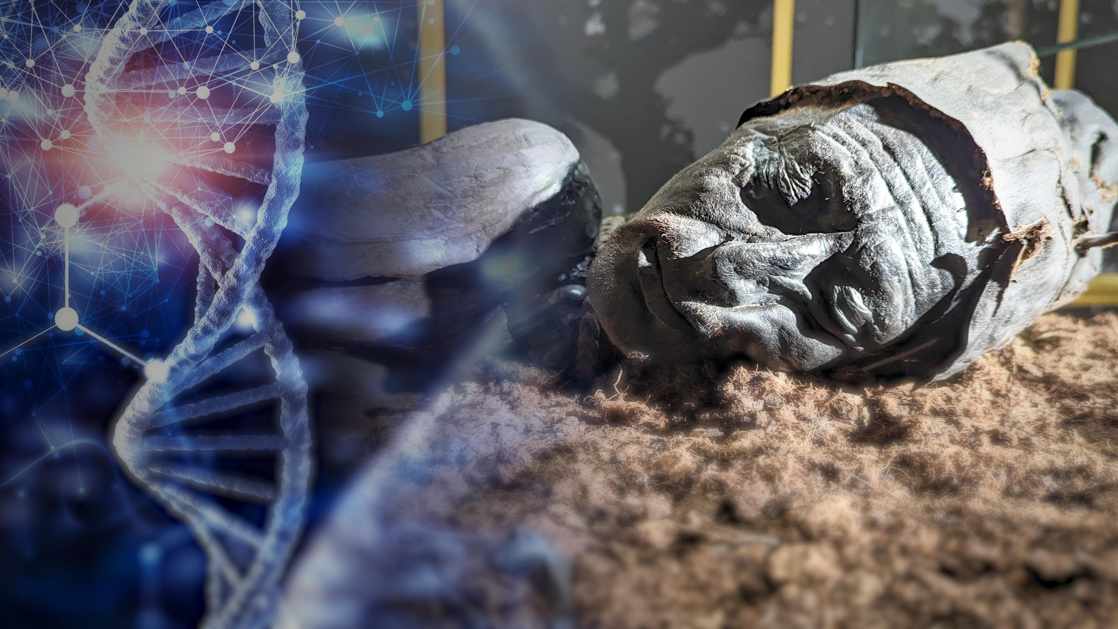 Montage: Links eine DNA-Helix vor einem blauen Hintergrund mit weiteren biotechnischen grafischen Elementen; rechts eine mumifizierte Gestalt mit Mütze.