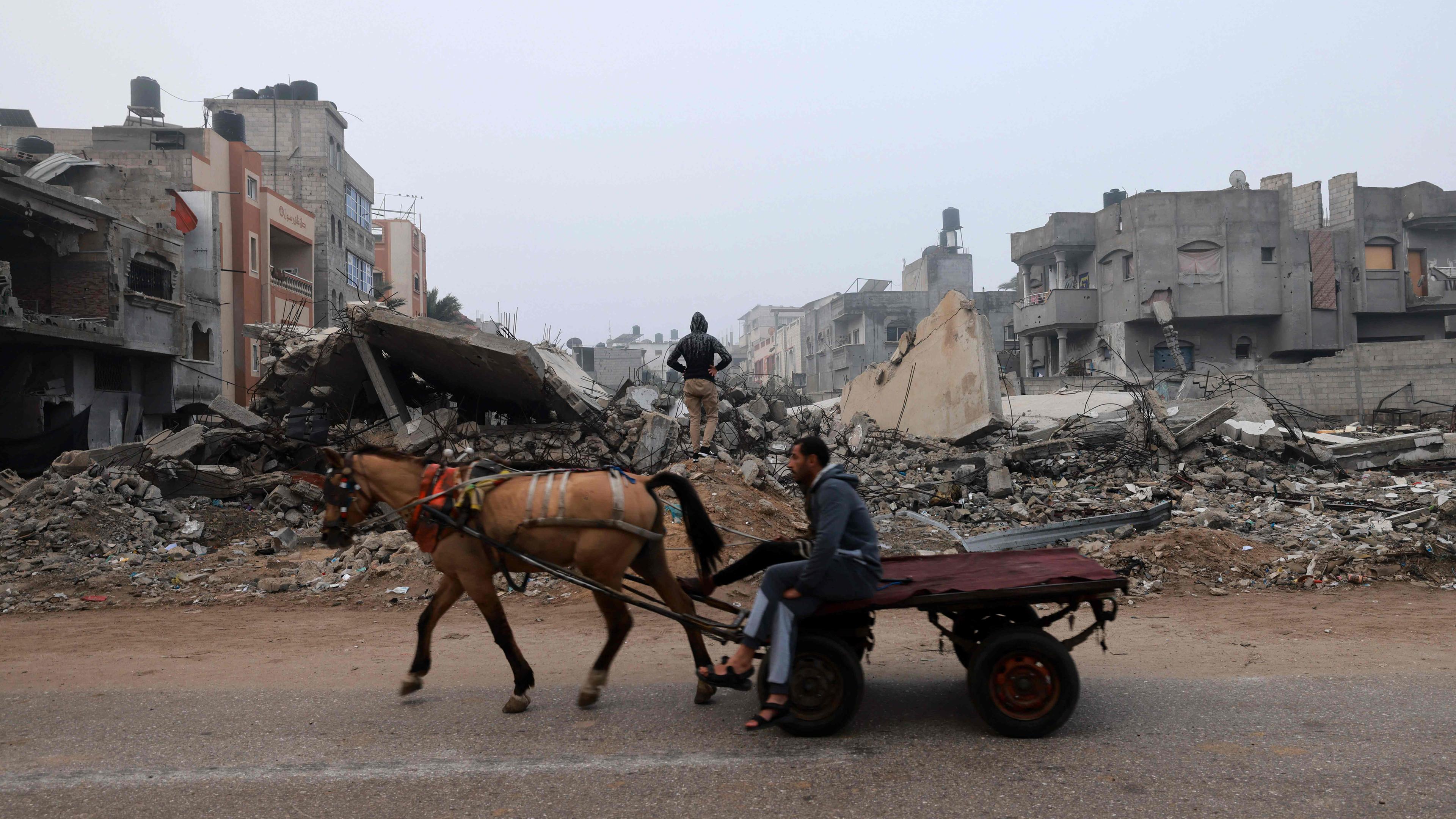 Rafah: Ein Mann fährt am 9. Februar 2024 mit einem Pferdewagen eine Straße entlang, die von israelischen Bombenangriffen in Rafah im südlichen Gazastreifen verwüstet wurde