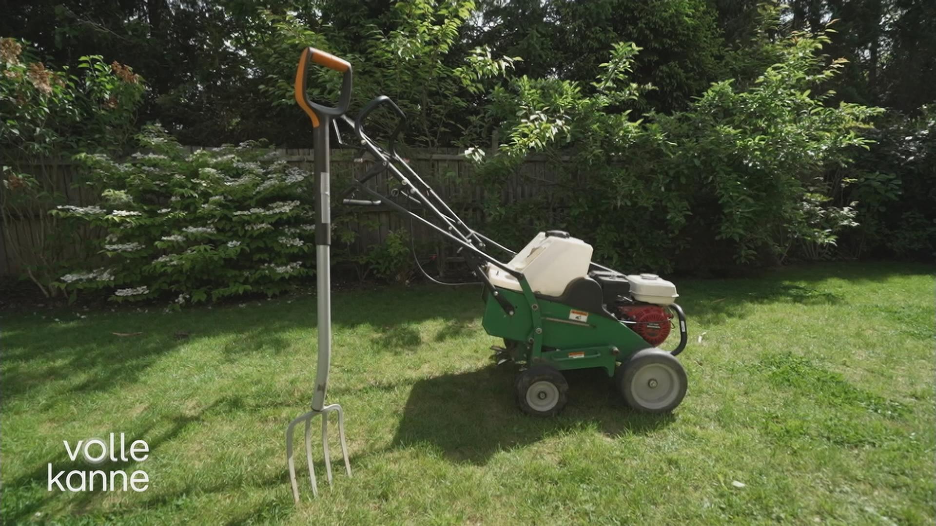 Rasen sommerfit machen