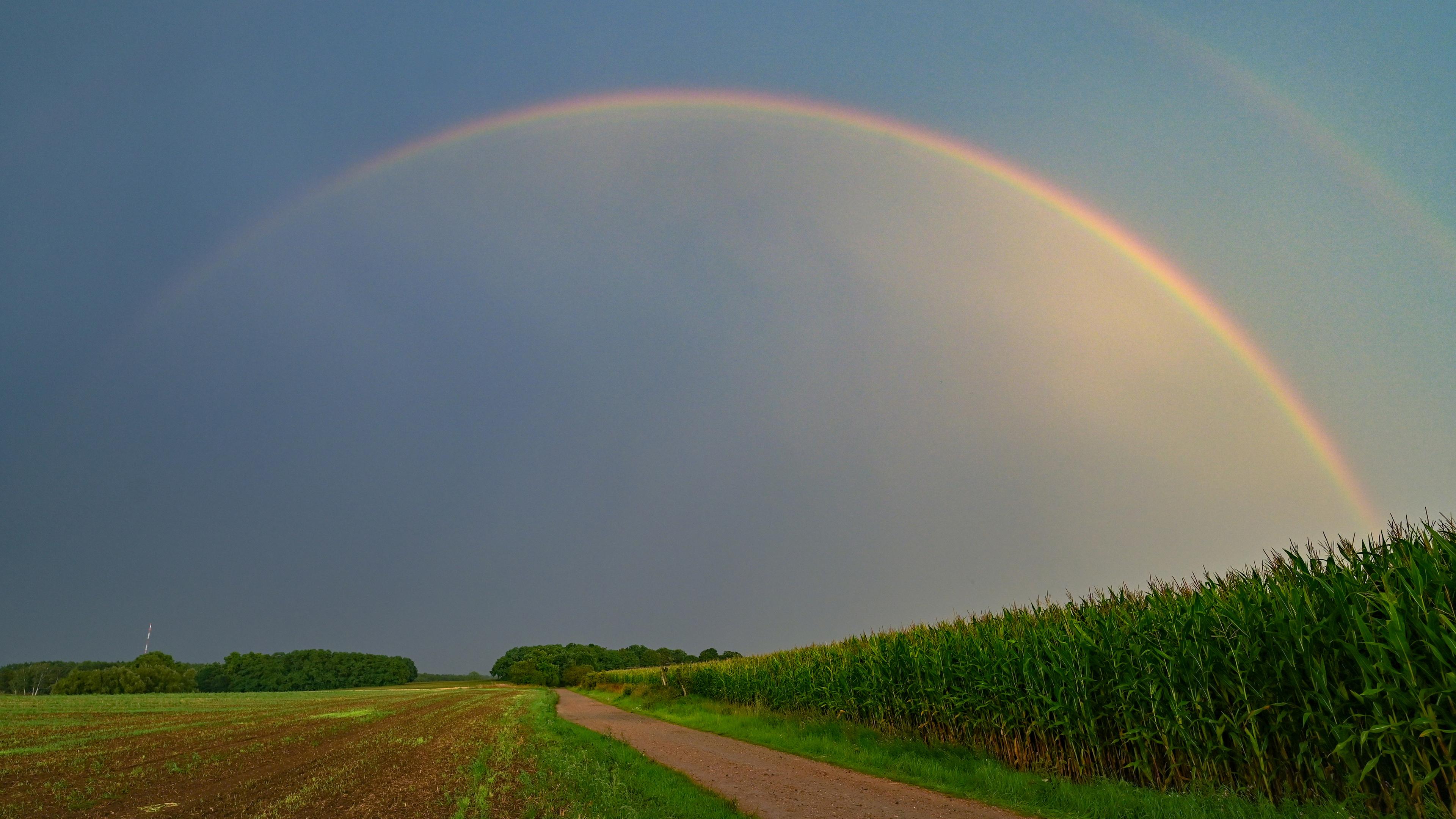 Ein Regenbogen leuchtet nach einem Gewitter am Abendhimmel über der Landschaft im Osten des Landes Brandenburg. 