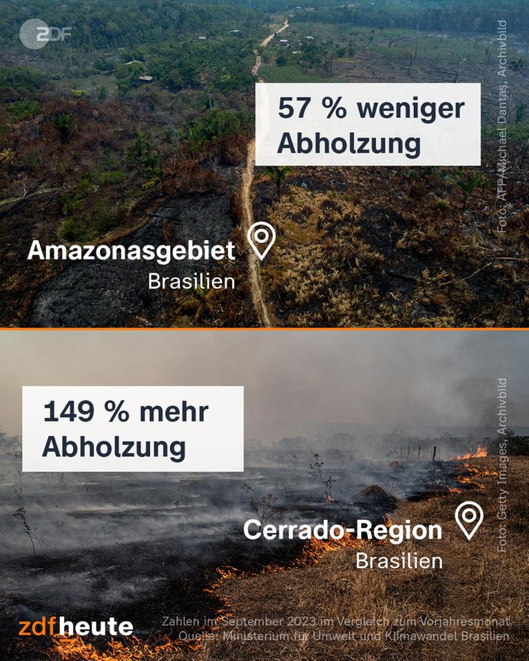 Zahlen zur Abholzung in Brasilien