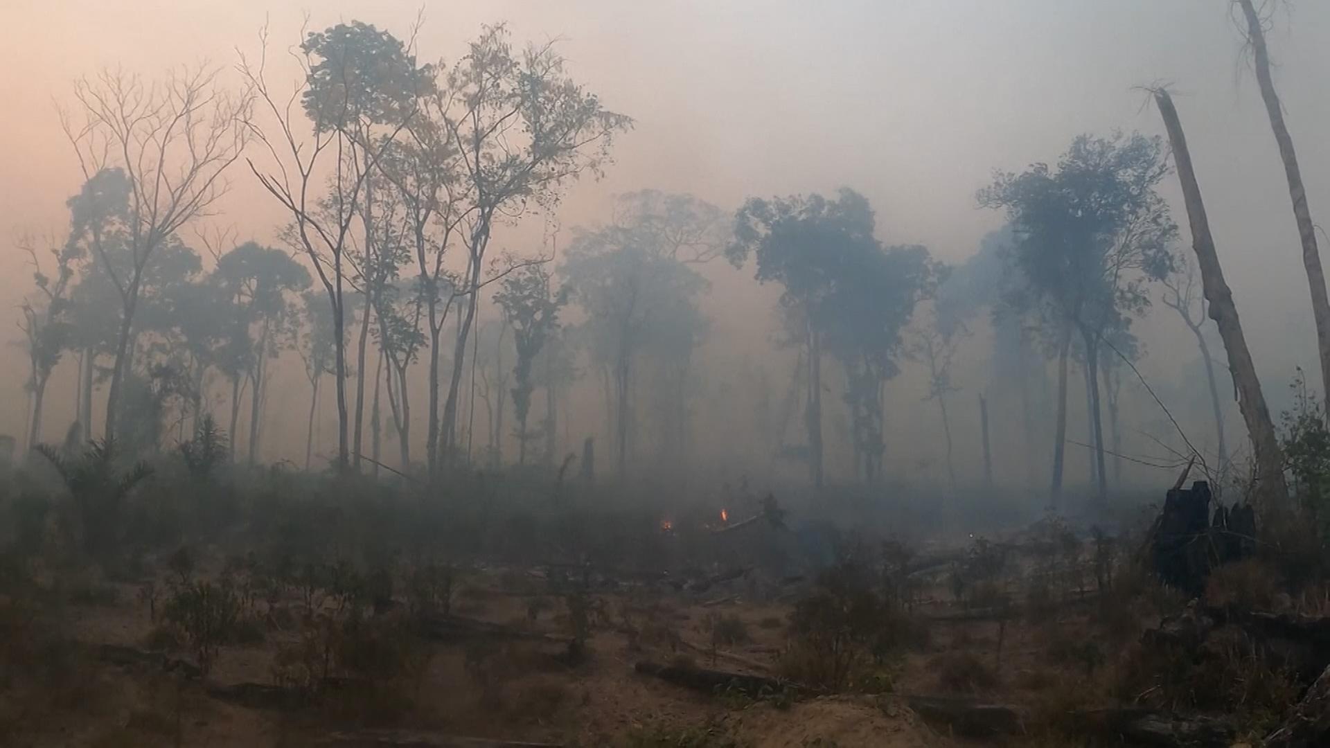 Eine brennende Stelle im Regenwald in Brasilien