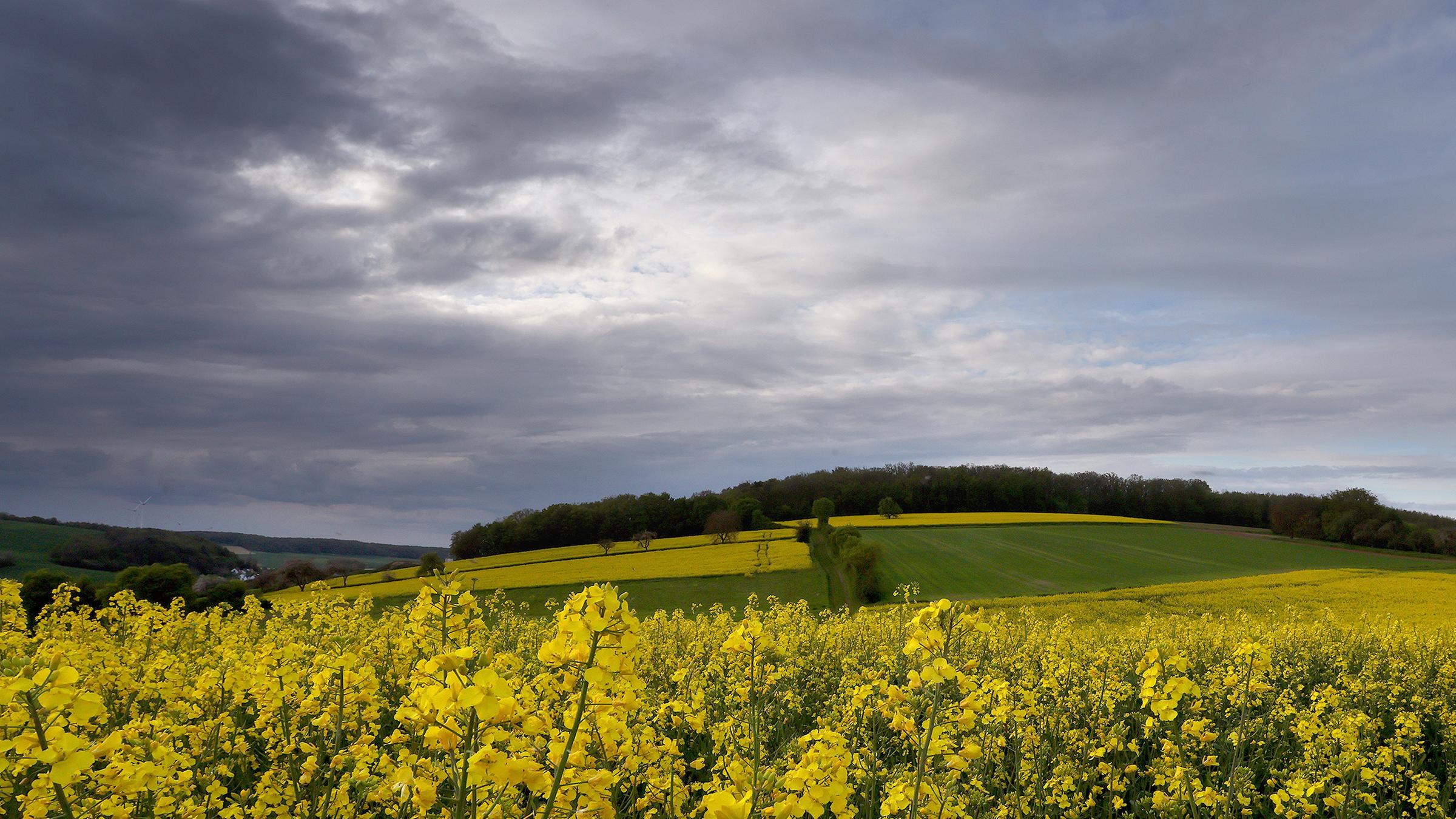  Regenwolken ziehen über Niederbayern bei Waldbüttelbrunn