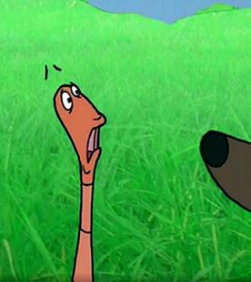 Ein Regenwurm und ein Igel