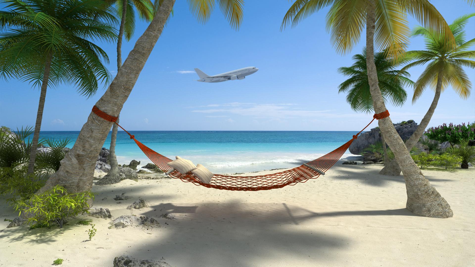 Hängematte zwischen zwei Palmen