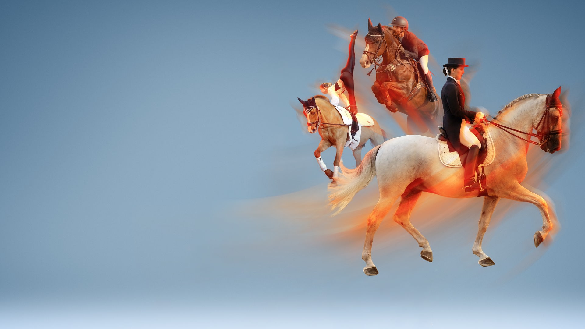 Reitsport Bildcollage