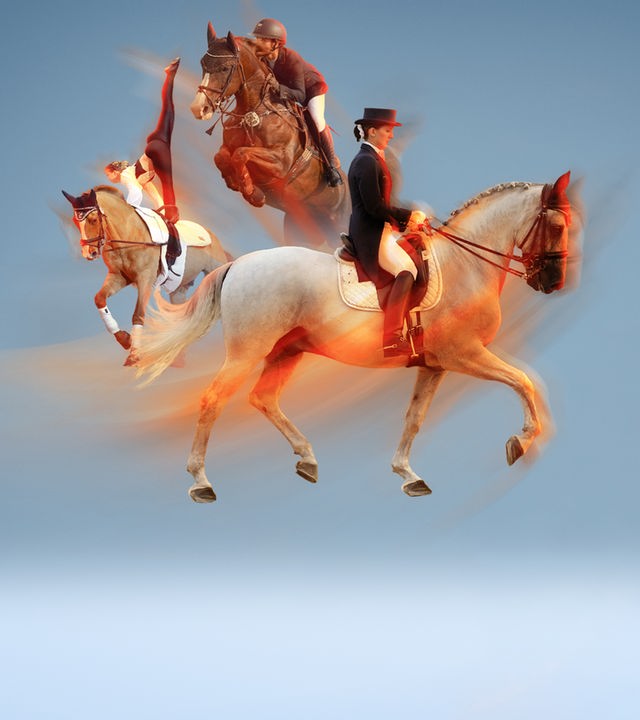 Reitsport Bildcollage