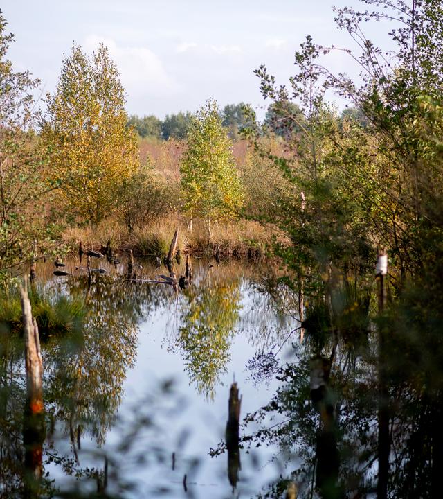 Naturschutzgesetz EU