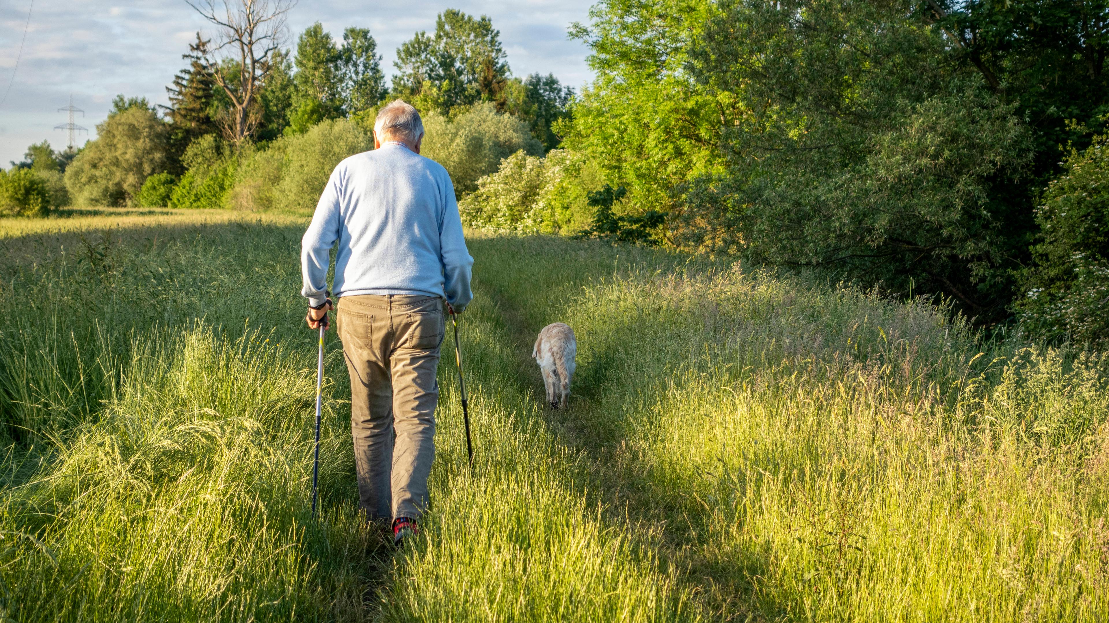 Ein älterer Mann geht mit seinem Hund spazieren