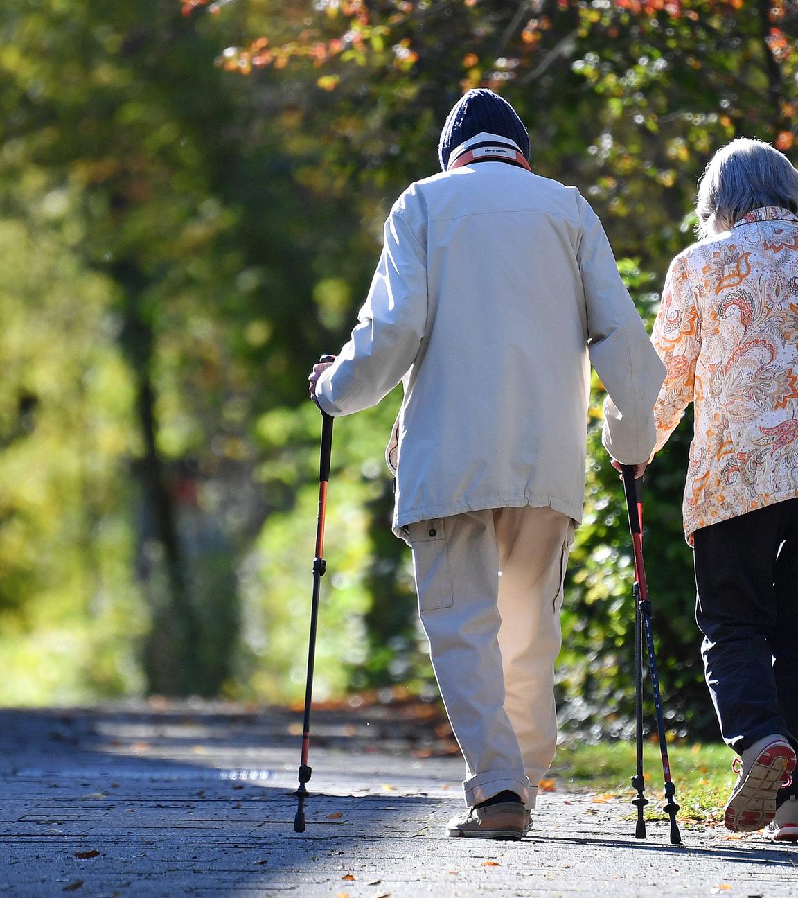 Altes Ehepaar-Rentner -Mann und Frau gehen mit Nordic Walking Stoecken spazieren, aufgenommen am 05.03.2024