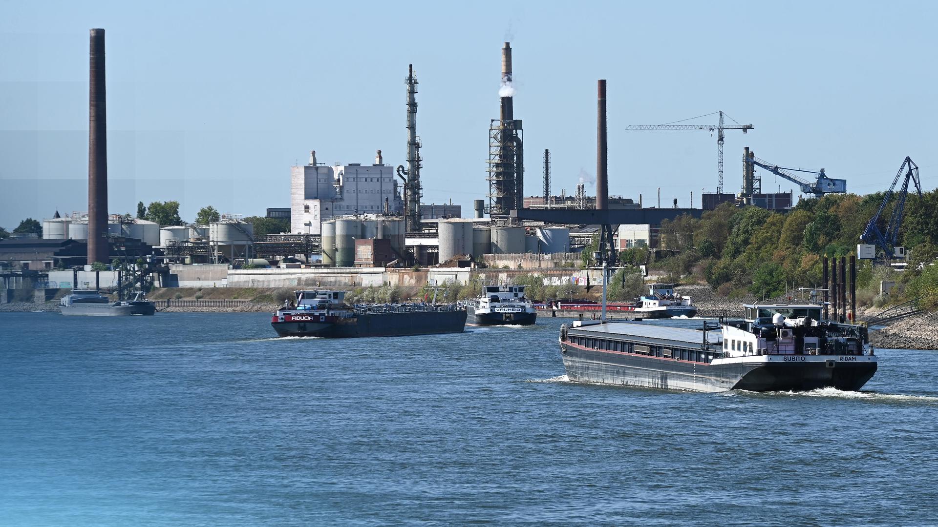 Niedrigwasser Rhein
