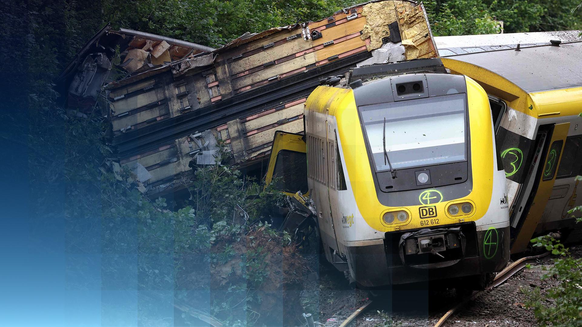 Der entgleiste Regionalexpress im Kreis Biberach liegt im Wald. 