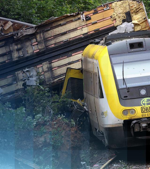 Der entgleiste Regionalexpress im Kreis Biberach liegt im Wald. 