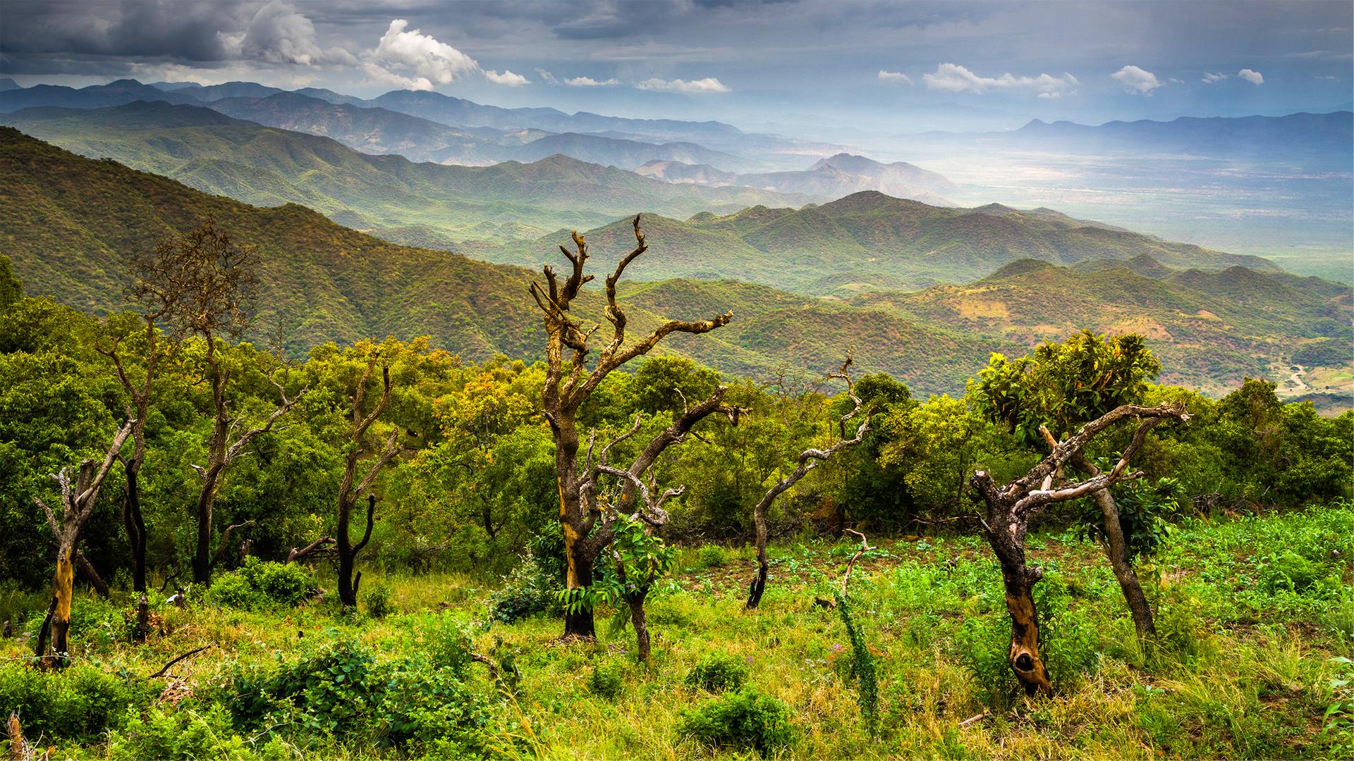 Rift Valley - Der große Graben