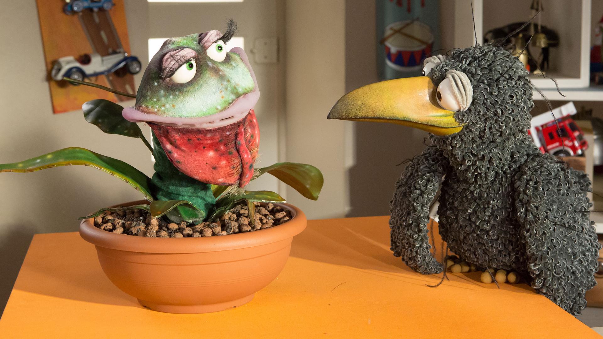 Die Pflanze Rinkeranke und Rudi hocken auf dem Tresen und schauen sich neugierig an.