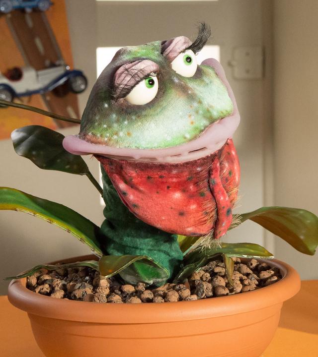 Die Pflanze Rinkeranke und Rudi hocken auf dem Tresen und schauen sich neugierig an.