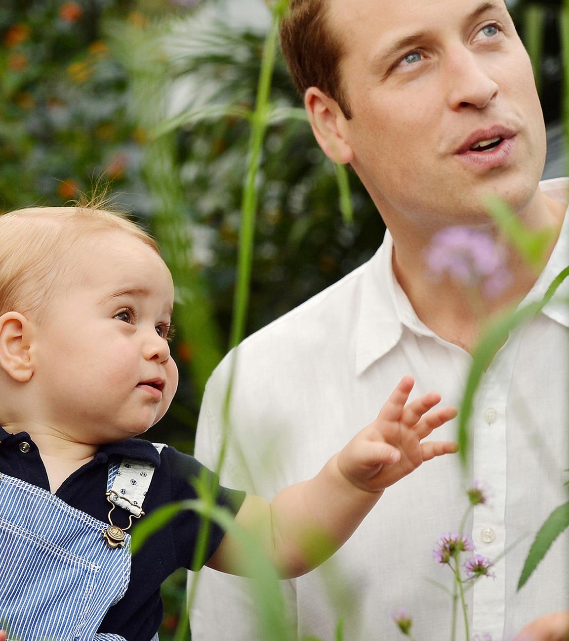 Catherine, Herzogin von Cambridge, und Prinz William, Herzog von Cambridge mit ihrem Sohn Prinz George, während des Besuch der Ausstellung "Sensational Butterflies" im Natural History Museum am 2. Juli 2014 in London.