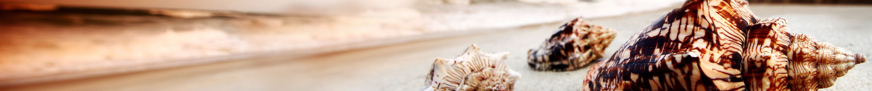 Rubriken Doku/Wissen