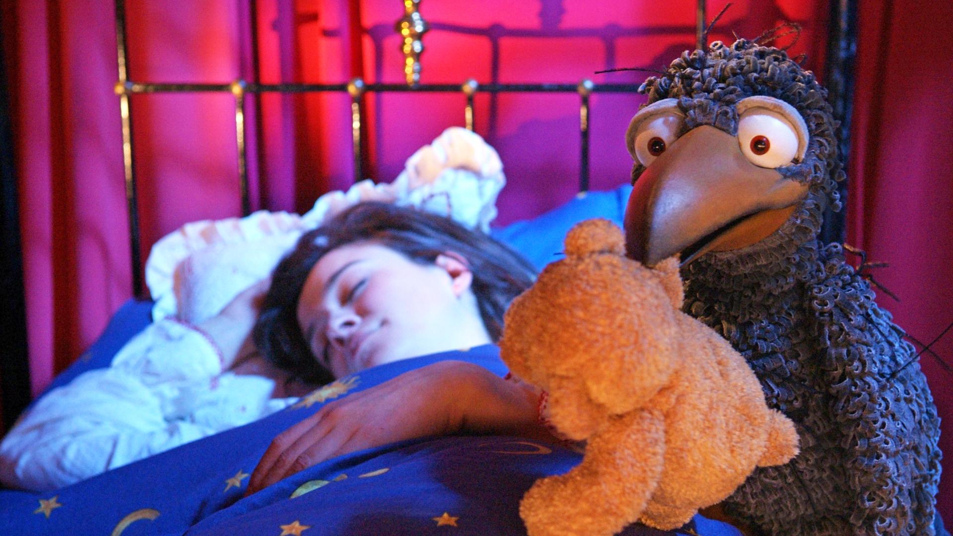 Rudi kann nicht schlafen. Er hält Teddy im Schnabel, während Siebenstein tief und fest schläft.