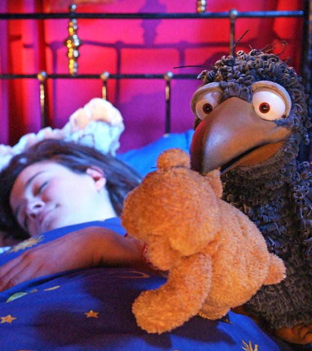 Rudi kann nicht schlafen. Er hält Teddy im Schnabel, während Siebenstein tief und fest schläft.