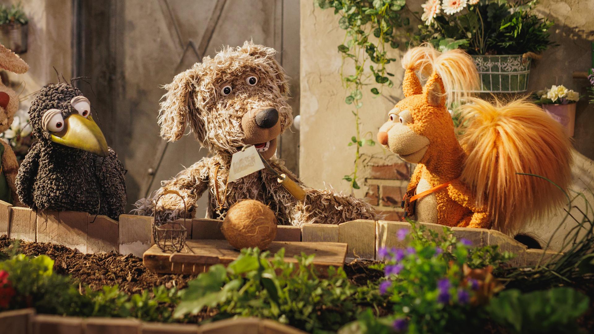 Otto, Rudi und Ella schauen gespannt zur Kokosnuss im Beet und zu Buffo, der eine Hacke hält.