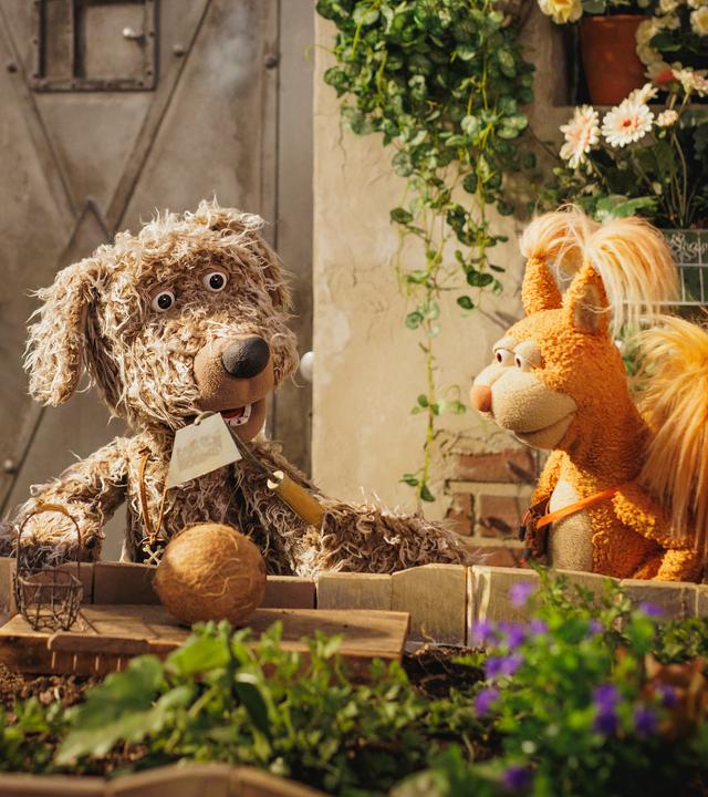 Otto, Rudi und Ella schauen gespannt zur Kokosnuss im Beet und zu Buffo, der eine Hacke hält.