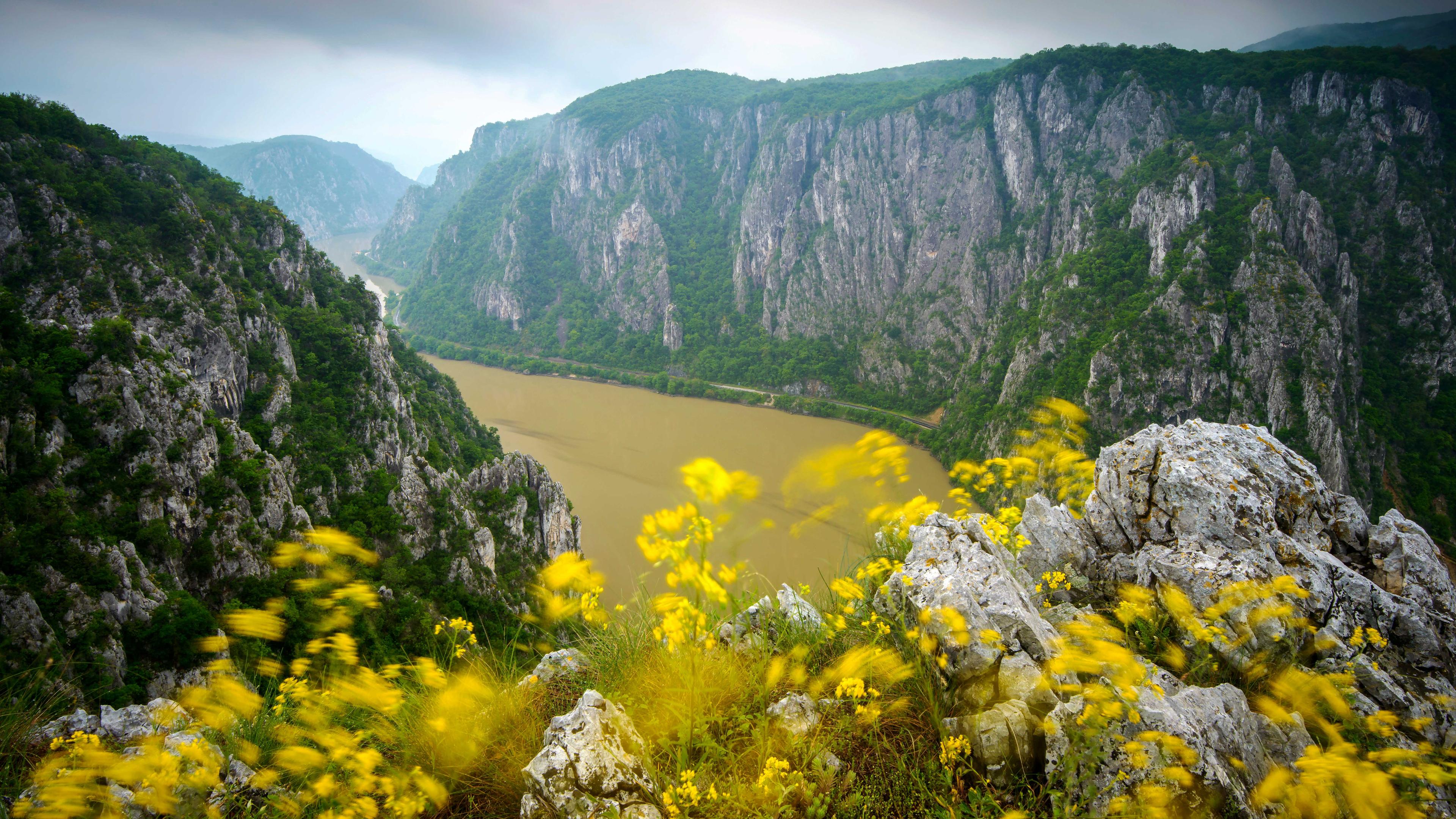  Im Hintergrund windet sich ein ockerfarbener Fluss zwischen steilen Felshängen. Im Vordergrund sind gelbe Wiesenblumen zu erkennen.