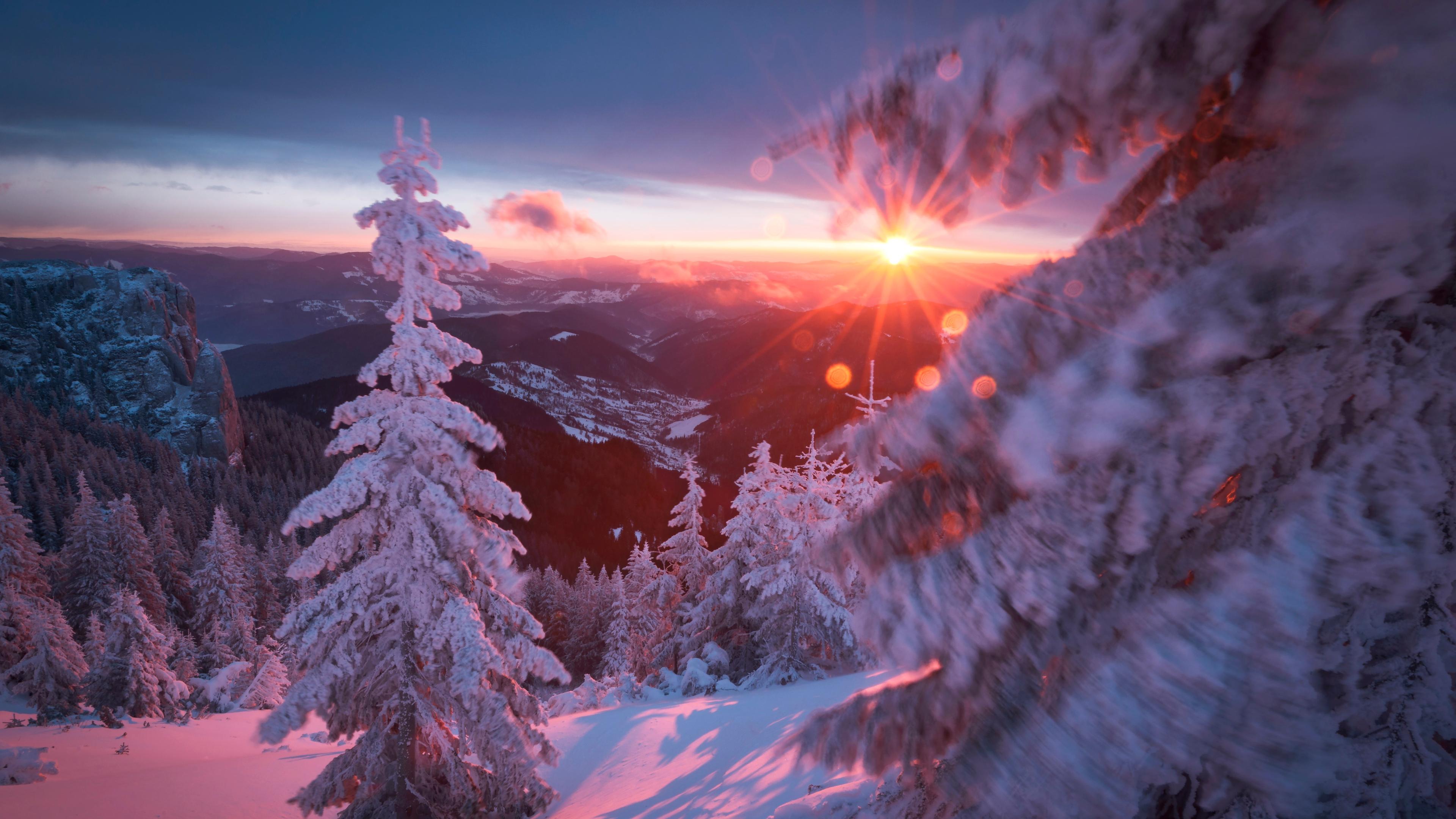  Schneebedeckte Tannen vor untergehender Sonne in einer winterlichen Mittelgebirgslandschaft.