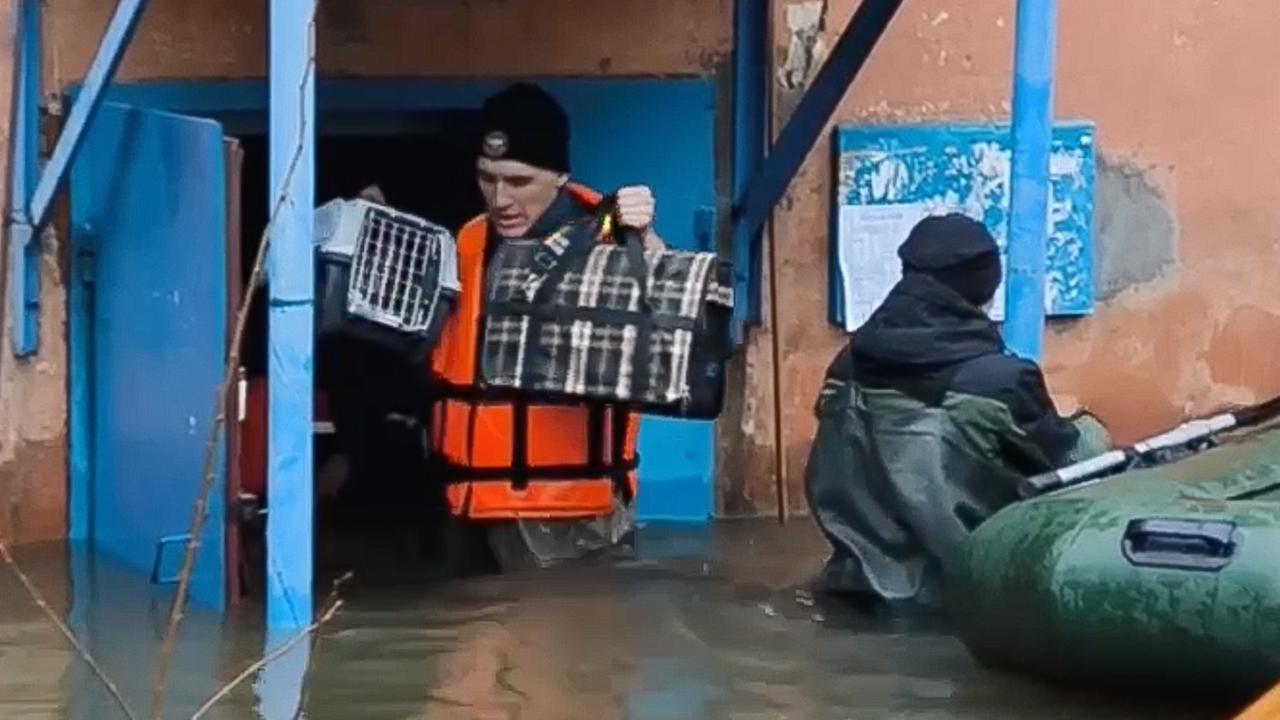 www.zdf.de