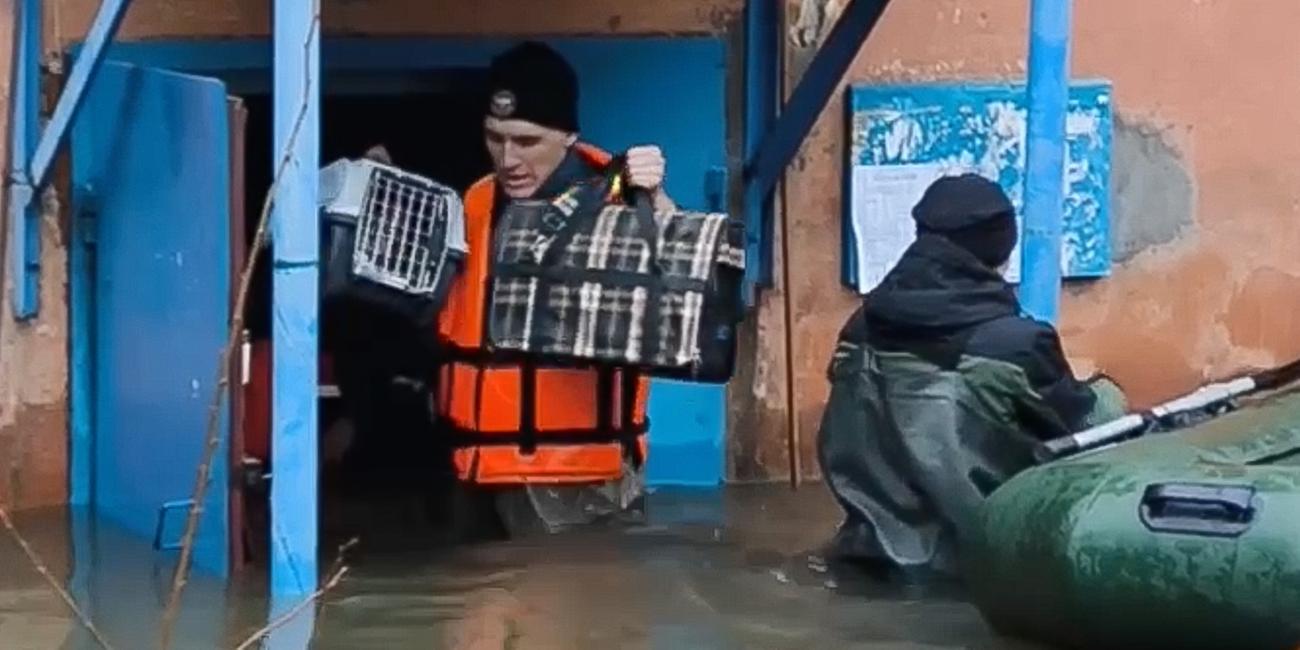 Russland, Orsk: Rettungskräfte evakuieren Menschen und Tiere aus der überfluteten Region