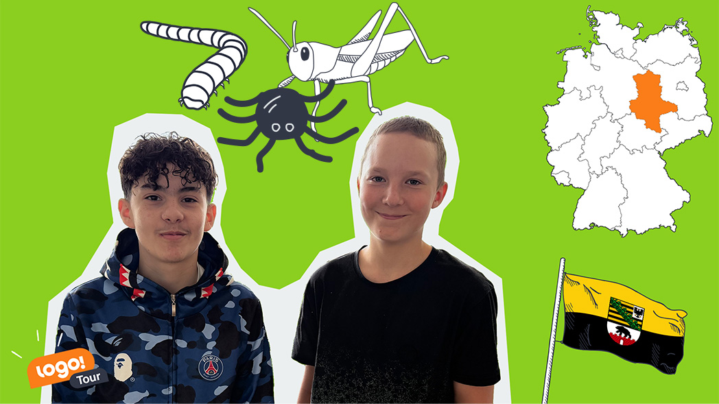 Sachsen-Anhalt Karte, Flagge, Kinder und Insekten