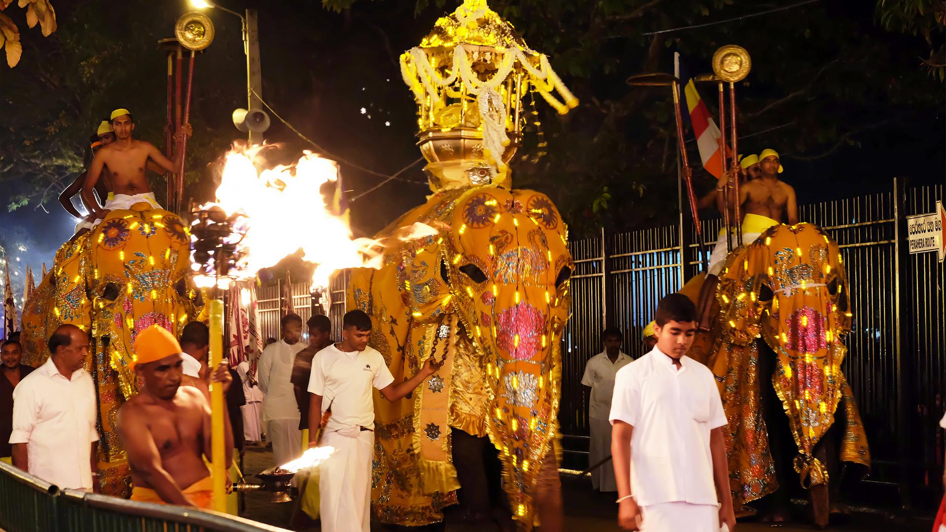 Elefantenprozession in Sri Lanka