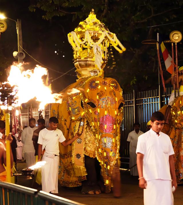 Elefantenprozession in Sri Lanka