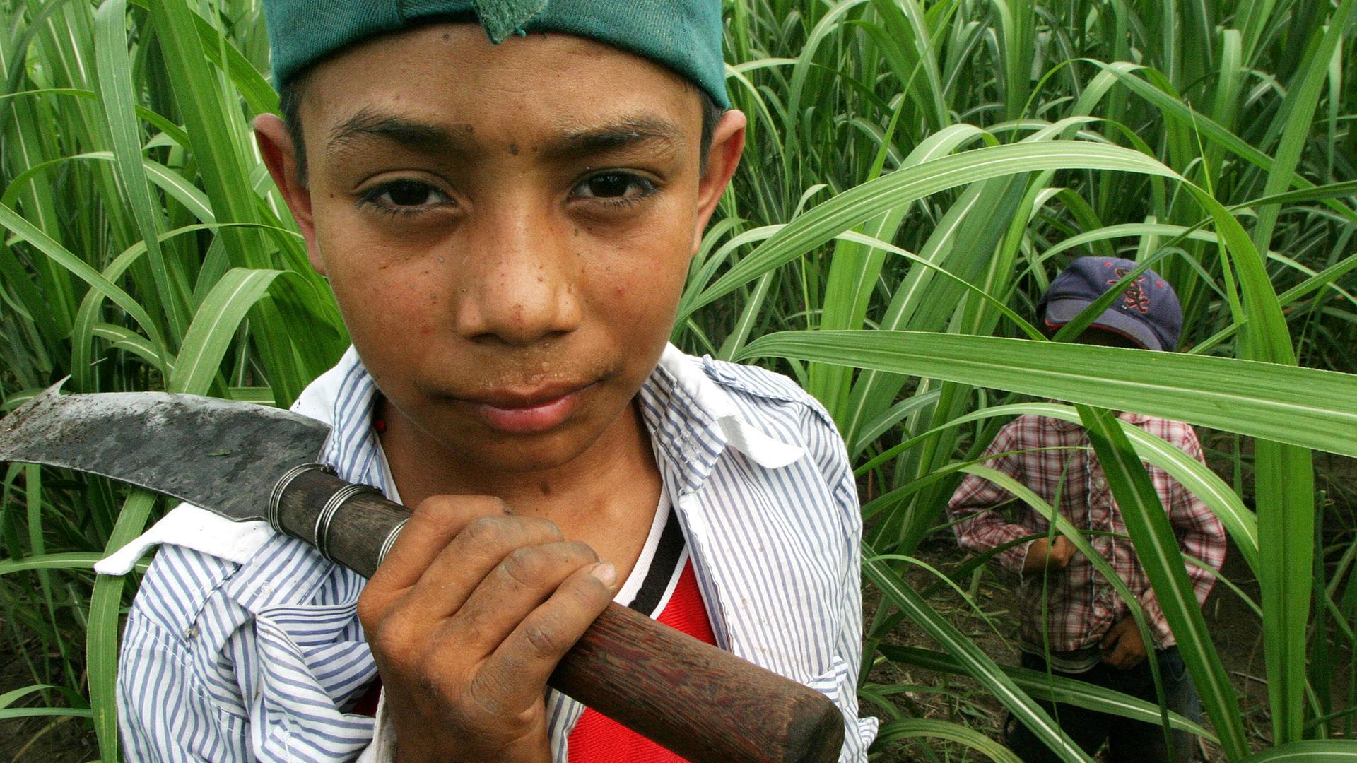 Der zwölfjährige Joel Rivera posiert für ein Foto nach der Arbeit beim Schneiden von Zuckerrohr auf einer Plantage in El Salvador (Archiv 2004)