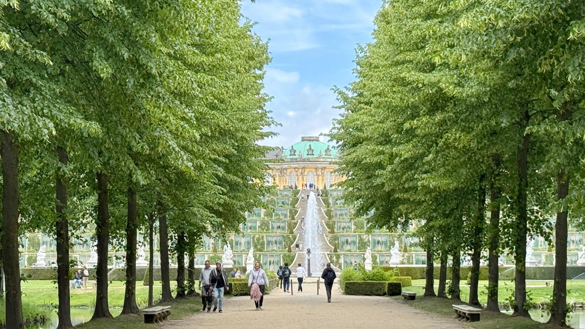 Das Bild zeigt die Terrassenanlagen des Schlosses Sanssouci in Potsdam, Deutschland. Im Vordergrund verläuft ein schmaler, sandfarbener Weg, der von gleichmäßig angeordneten, hohen Laubbäumen gesäumt ist. Auf dem Weg spazieren mehrere Personen, die in Freizeitkleidung gekleidet sind.  Hinter den Bäumen erhebt sich eine steile Treppe, die bis zur Architektur des Schlosses führt. Die Terrassen sind mit einer Vielzahl von ornamentalen Pflanzen und Springbrunnen gestaltet. Die Fassade des Schlosses ist in sanften Gelbtönen gehalten und hat ein charakteristisches, grünes Dach. Kleine Skulpturen sind entlang der Treppe und in den Gärten zu sehen. Der Himmel ist teilweise bewölkt und die Atmosphäre wirkt ruhig und einladend.