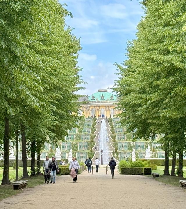 Das Bild zeigt die Terrassenanlagen des Schlosses Sanssouci in Potsdam, Deutschland. Im Vordergrund verläuft ein schmaler, sandfarbener Weg, der von gleichmäßig angeordneten, hohen Laubbäumen gesäumt ist. Auf dem Weg spazieren mehrere Personen, die in Freizeitkleidung gekleidet sind.  Hinter den Bäumen erhebt sich eine steile Treppe, die bis zur Architektur des Schlosses führt. Die Terrassen sind mit einer Vielzahl von ornamentalen Pflanzen und Springbrunnen gestaltet. Die Fassade des Schlosses ist in sanften Gelbtönen gehalten und hat ein charakteristisches, grünes Dach. Kleine Skulpturen sind entlang der Treppe und in den Gärten zu sehen. Der Himmel ist teilweise bewölkt und die Atmosphäre wirkt ruhig und einladend.