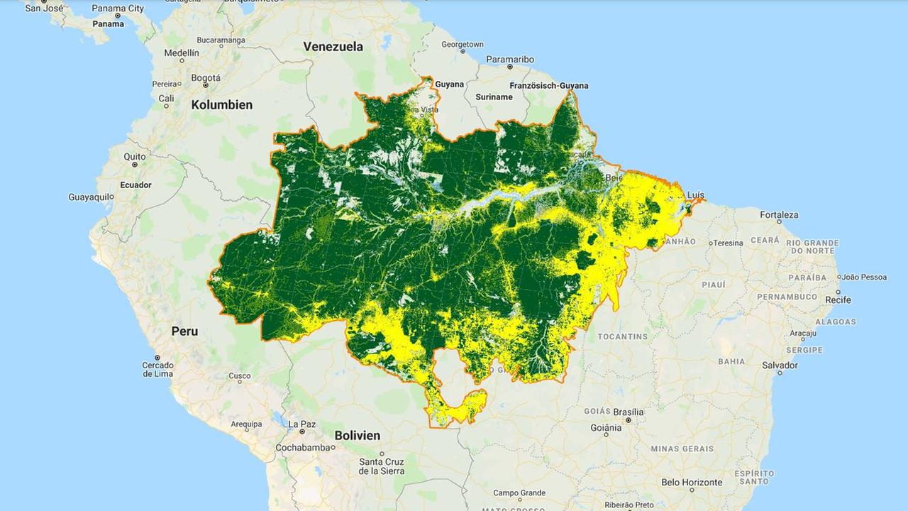Abholzung im Amazonas Satellitendaten