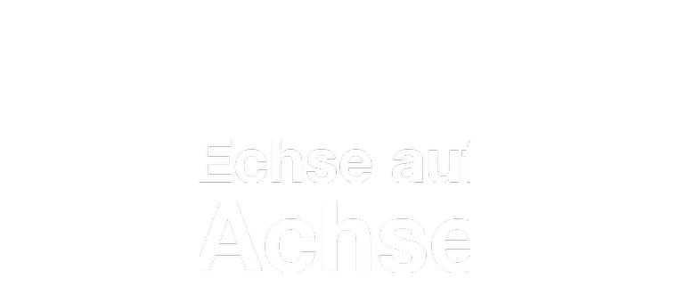Echse auf Achse